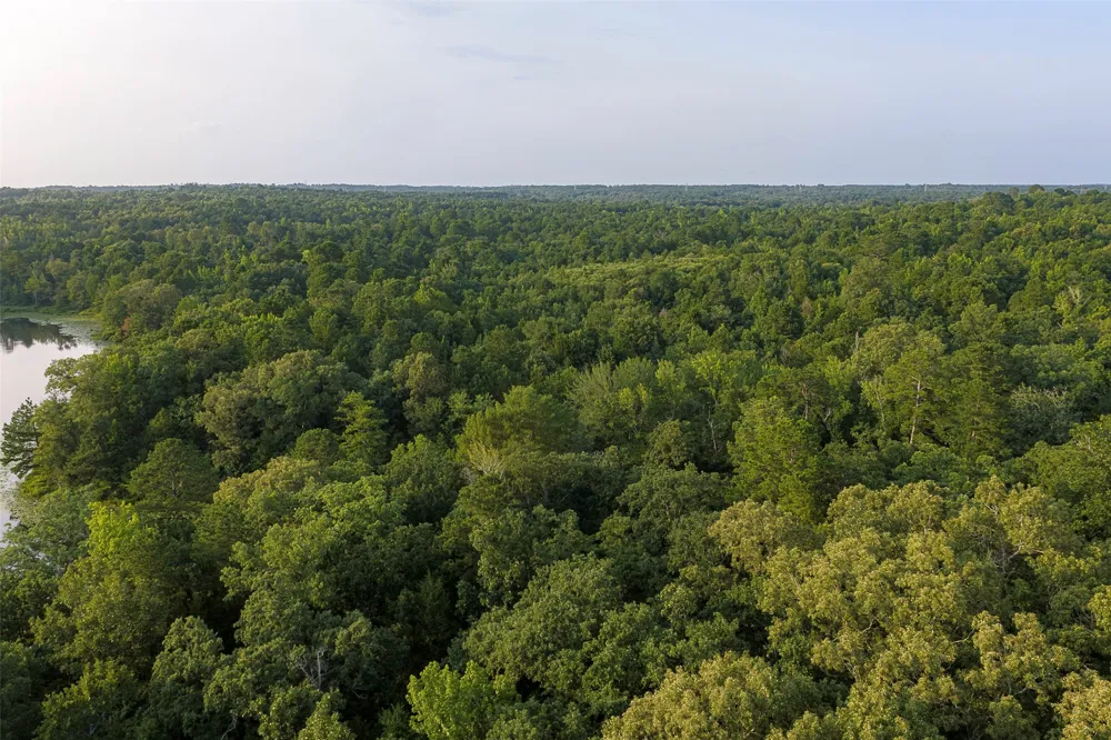 County Road 2136 Tatum, TX 75691