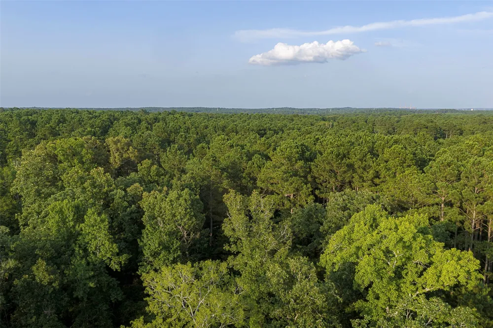 County Road 2136 Tatum, TX 75691