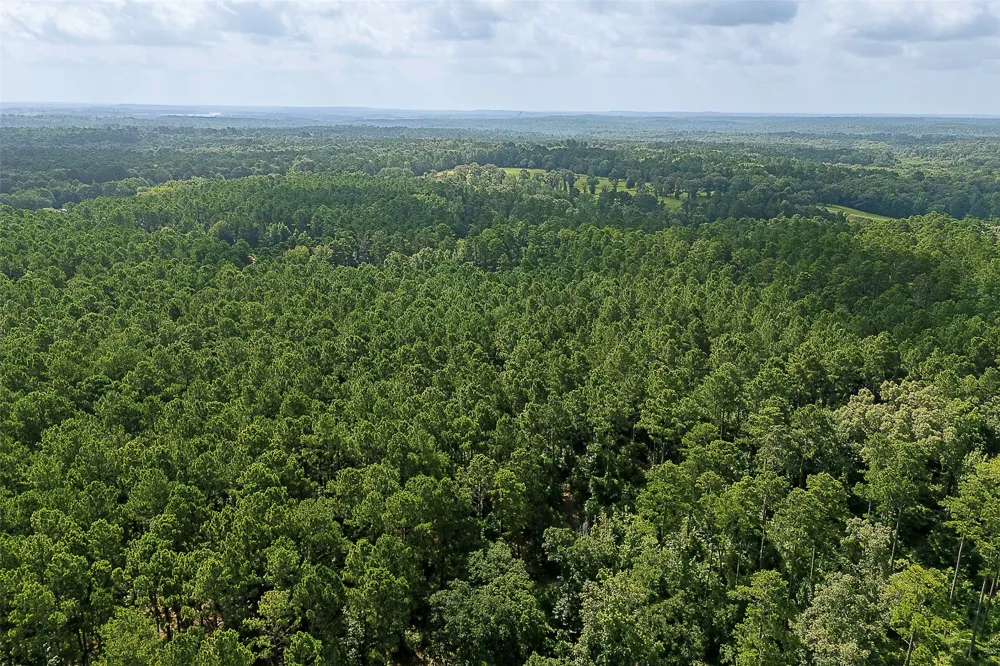 County Road 2136 Tatum, TX 75691