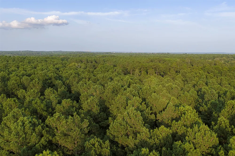 County Road 2136 Tatum, TX 75691