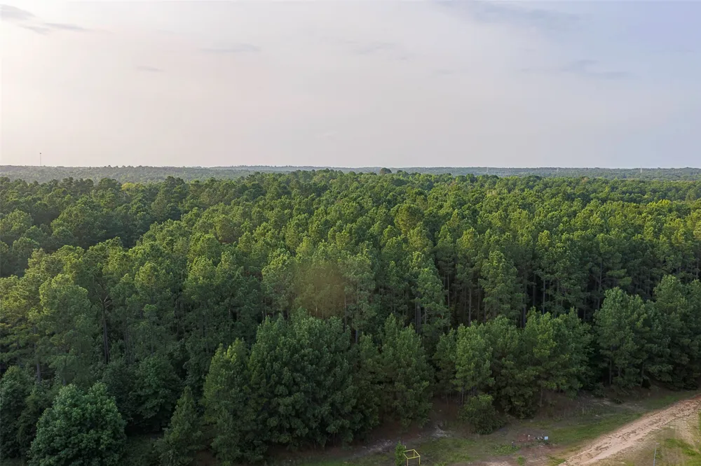 County Road 2136 Tatum, TX 75691