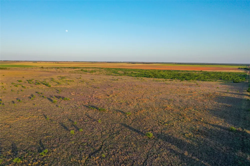 CR 146 Rule, TX 79547