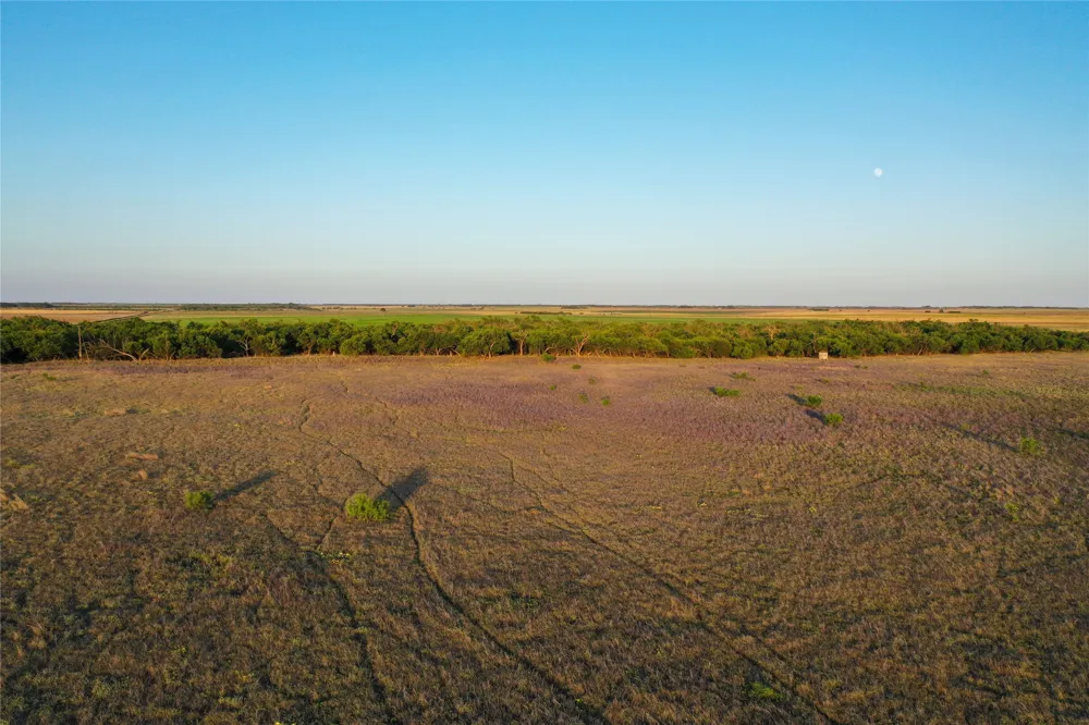 CR 146 Rule, TX 79547