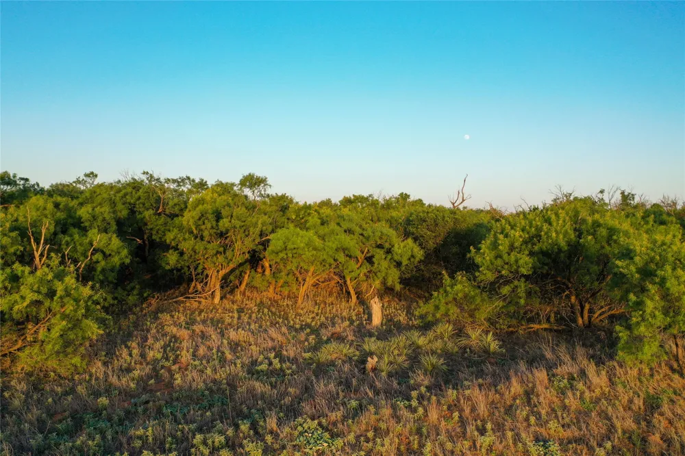CR 146 Rule, TX 79547