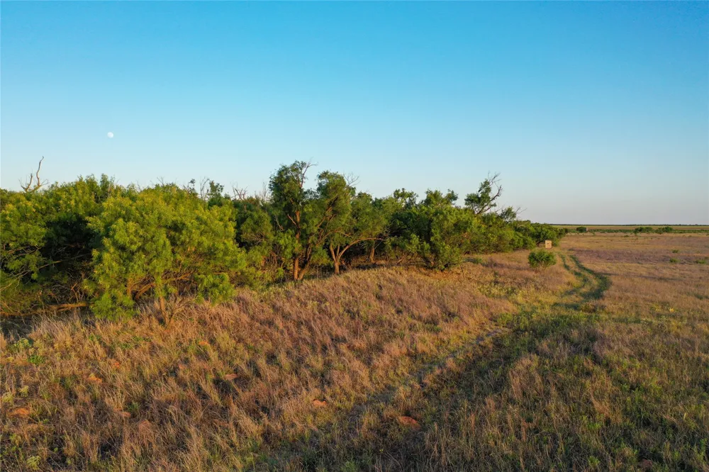 CR 146 Rule, TX 79547