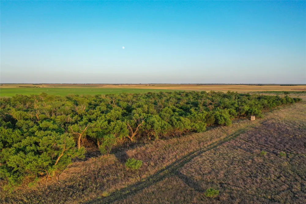 CR 146 Rule, TX 79547