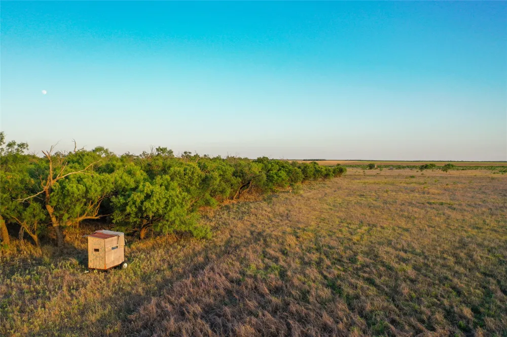 CR 146 Rule, TX 79547