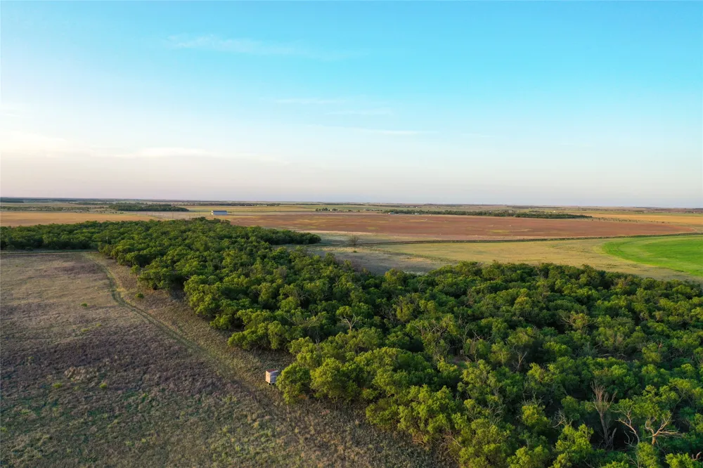 CR 146 Rule, TX 79547