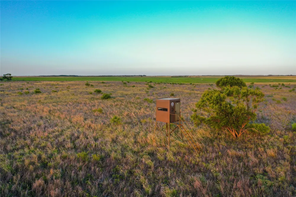 CR 146 Rule, TX 79547
