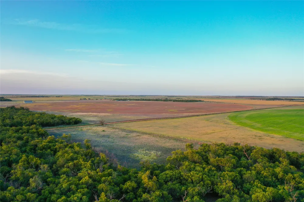 CR 146 Rule, TX 79547