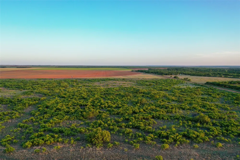 CR 146 Rule, TX 79547