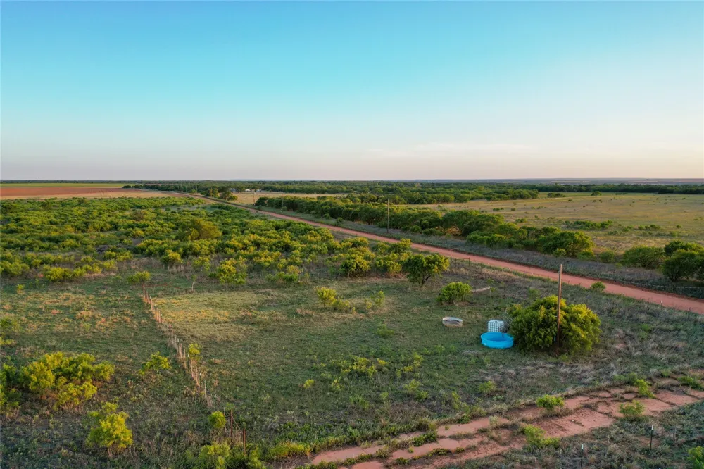 CR 146 Rule, TX 79547