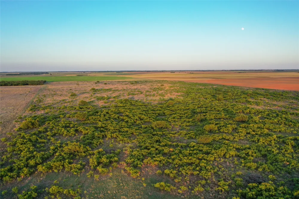 CR 146 Rule, TX 79547