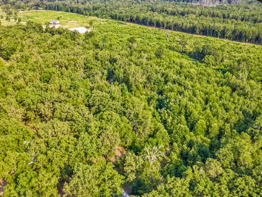 1253 County Road 1362 Mt Pleasant, TX 75455