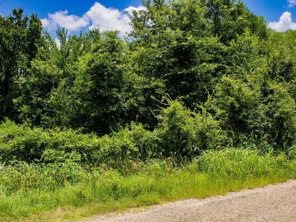 1253 County Road 1362 Mt Pleasant, TX 75455