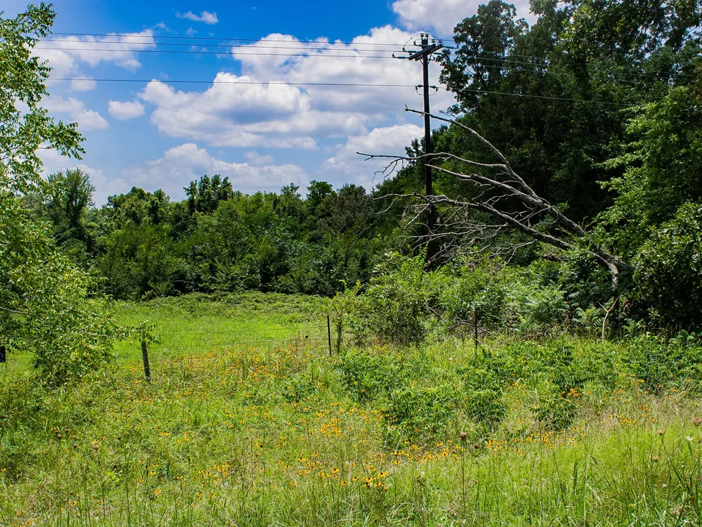 1253 County Road 1362 Mt Pleasant, TX 75455