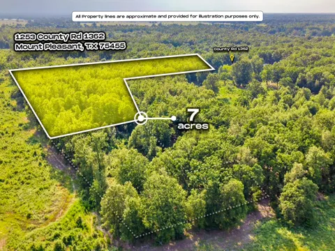 1253 County Road 1362