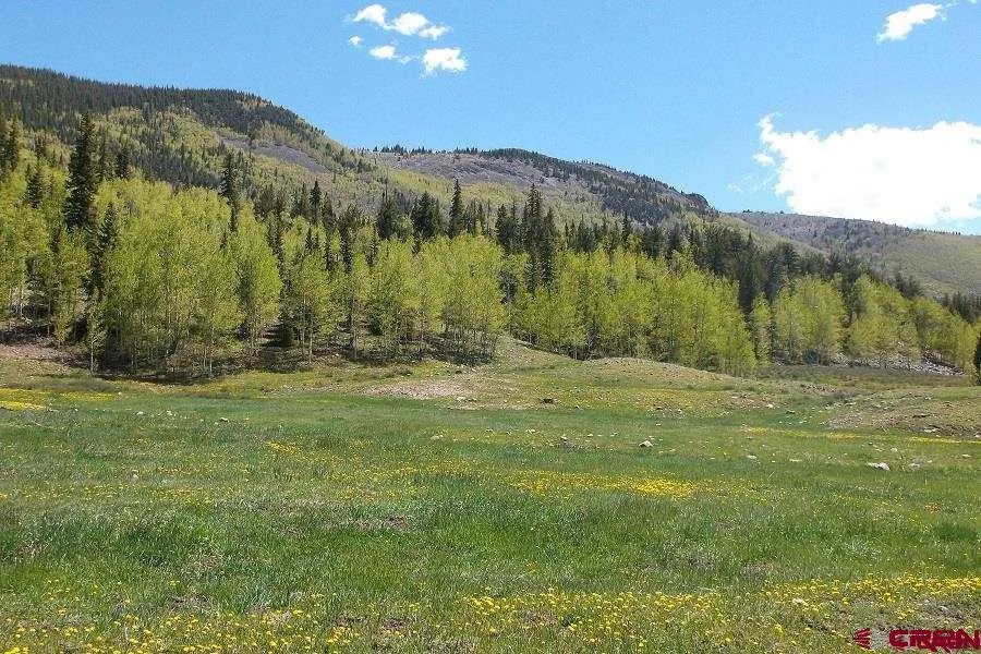 140 Sherry Lane Antonito, CO 81120