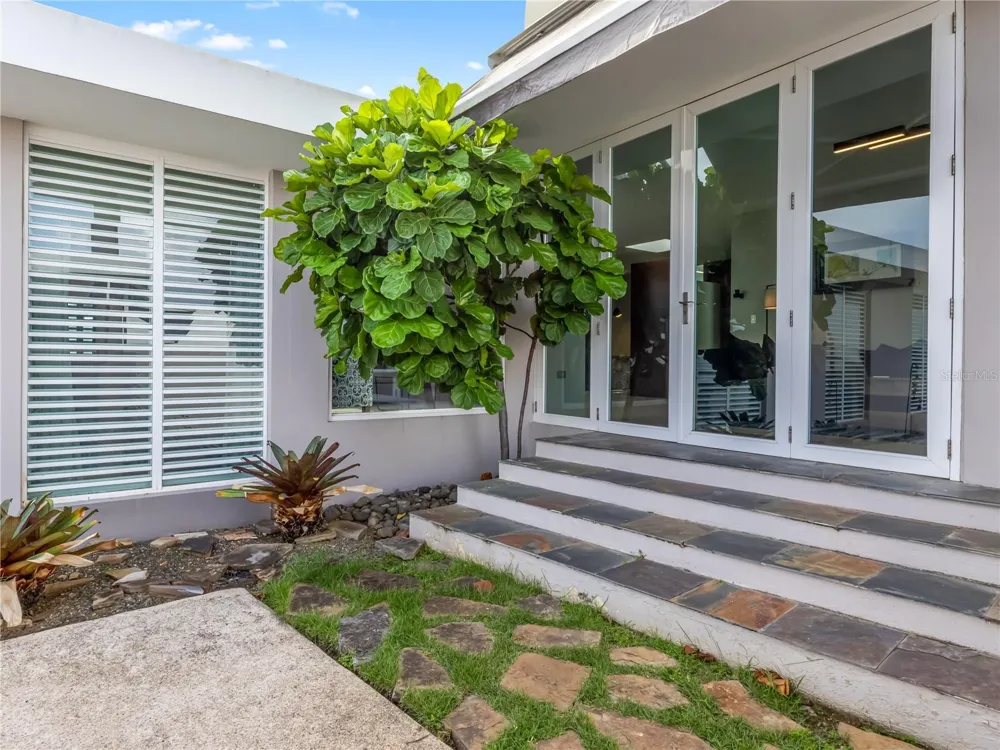 236 REY FERNANDO Guaynabo, PR 00969