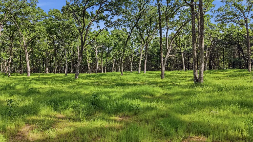60 Doe Crossing Pottsboro, TX 75076