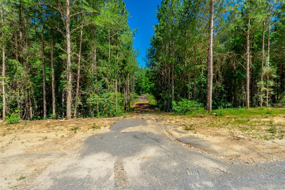 1163 Split Rail Way Guild, TN 37340