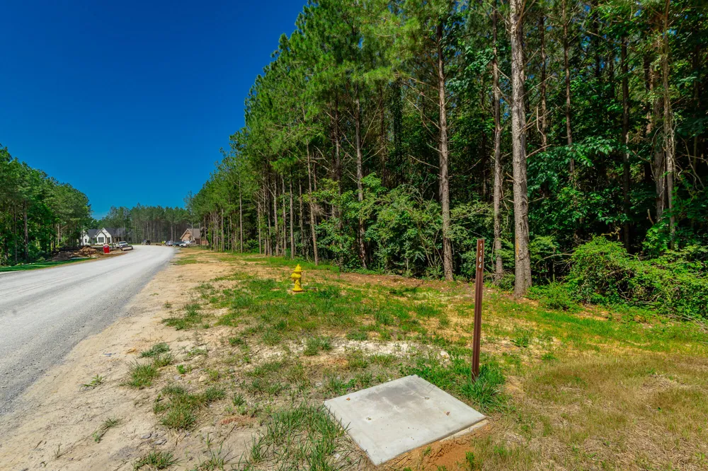 1163 Split Rail Way Guild, TN 37340