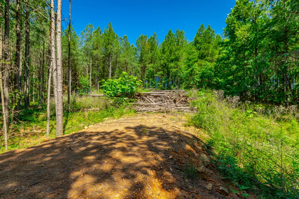 1163 Split Rail Way Guild, TN 37340