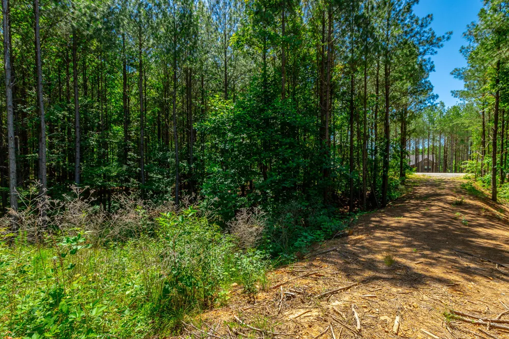 1163 Split Rail Way Guild, TN 37340