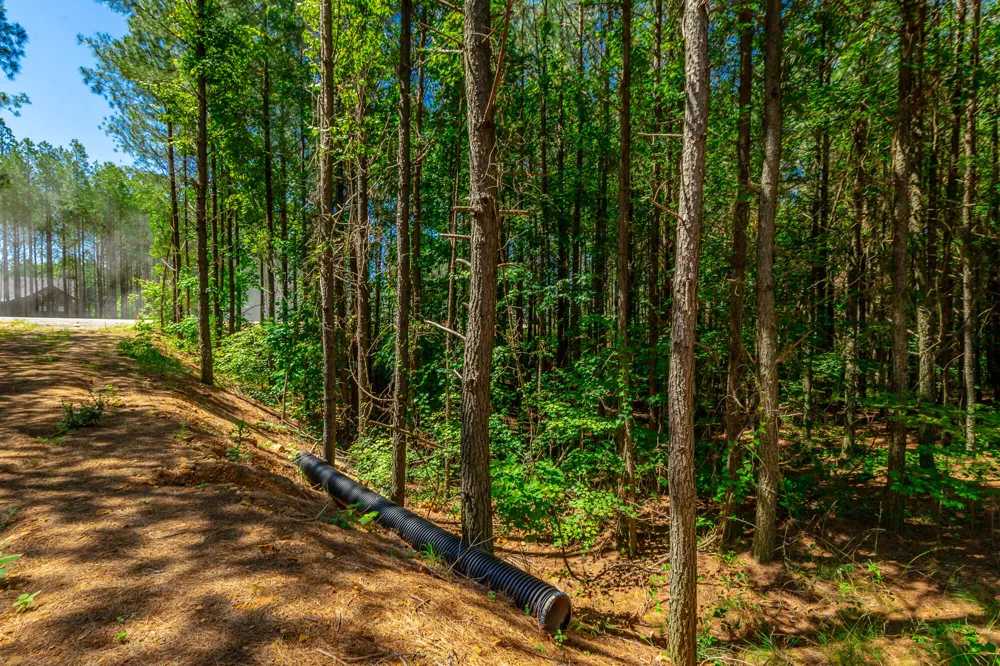 1163 Split Rail Way Guild, TN 37340