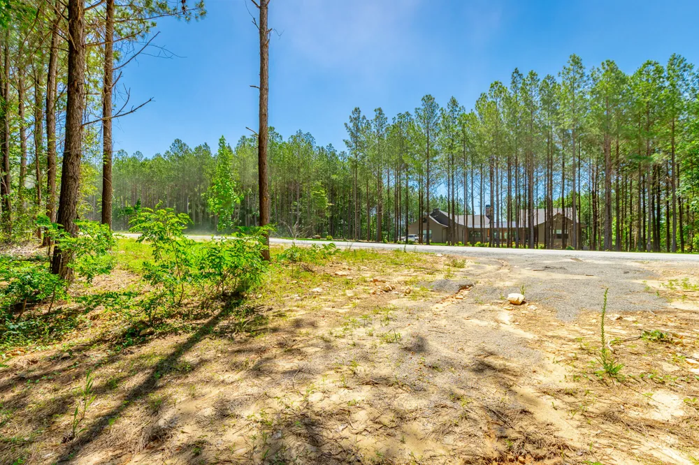 1163 Split Rail Way Guild, TN 37340