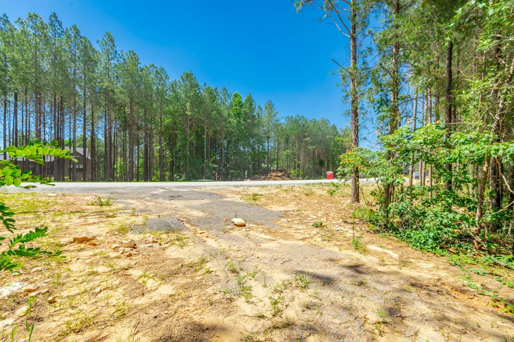 1163 Split Rail Way Guild, TN 37340