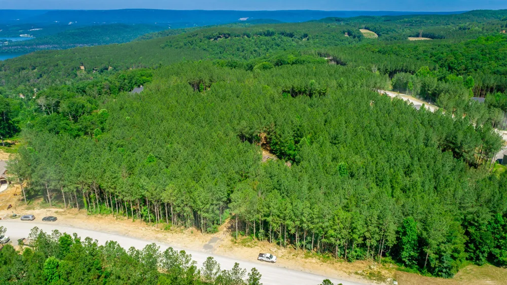 1163 Split Rail Way Guild, TN 37340