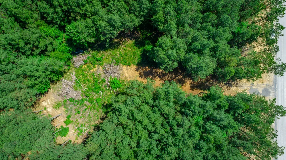 1163 Split Rail Way Guild, TN 37340