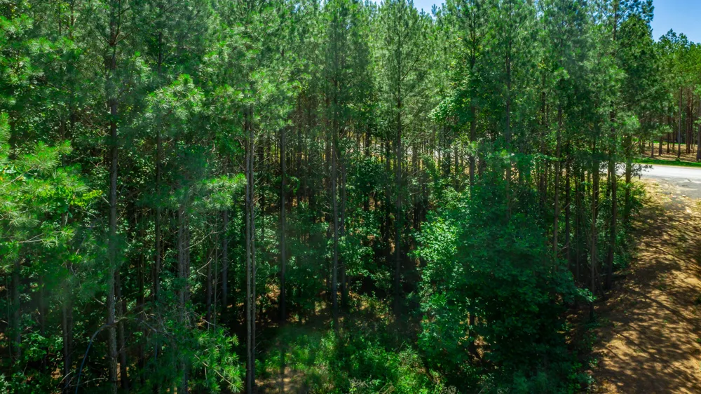 1163 Split Rail Way Guild, TN 37340