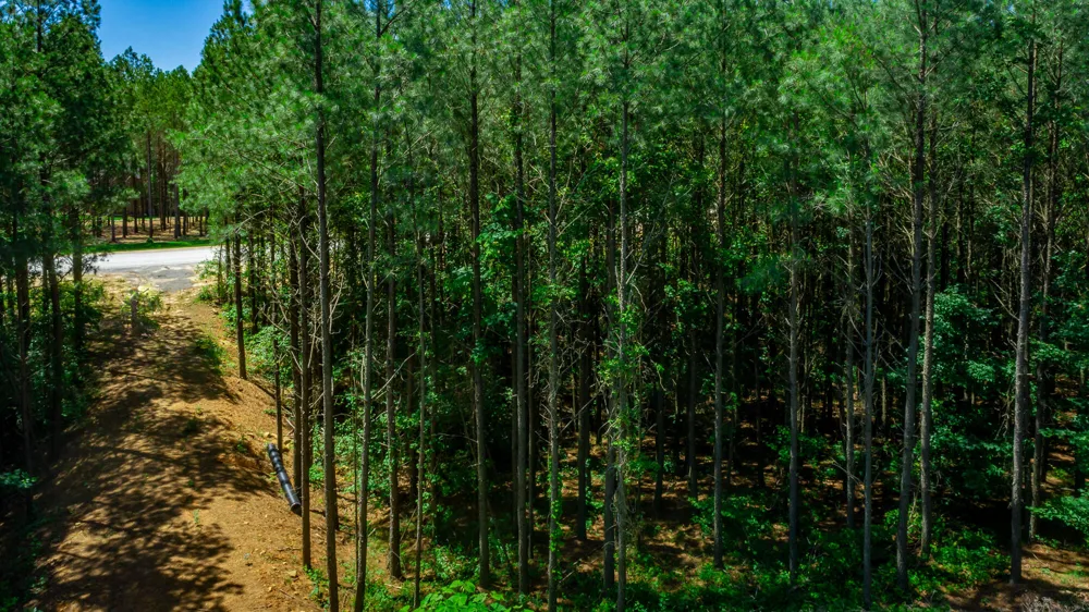 1163 Split Rail Way Guild, TN 37340