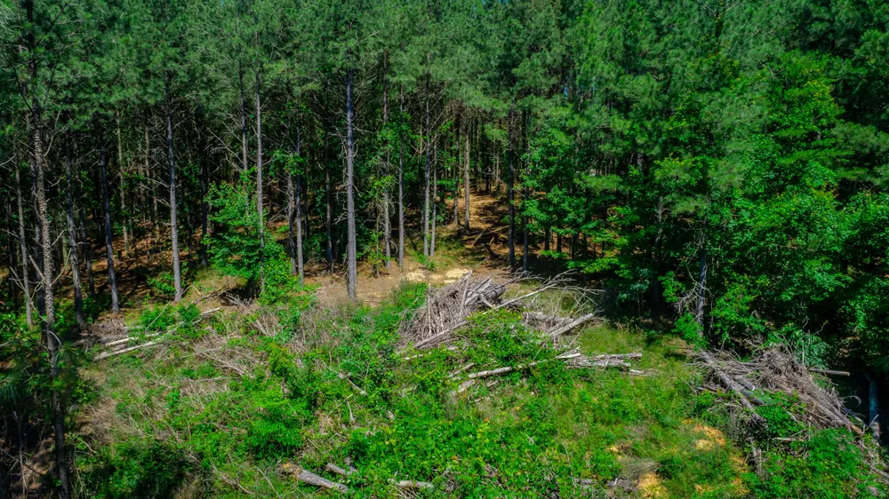 1163 Split Rail Way Guild, TN 37340