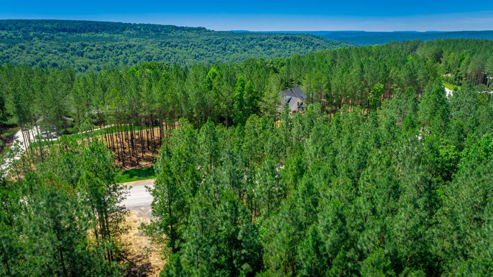 1163 Split Rail Way Guild, TN 37340