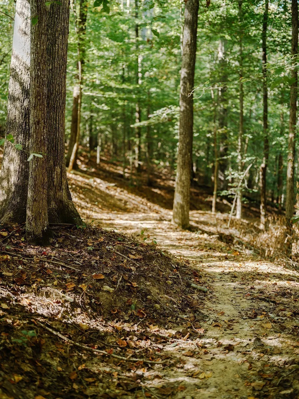 0 Pinewood Road Franklin, TN 37064