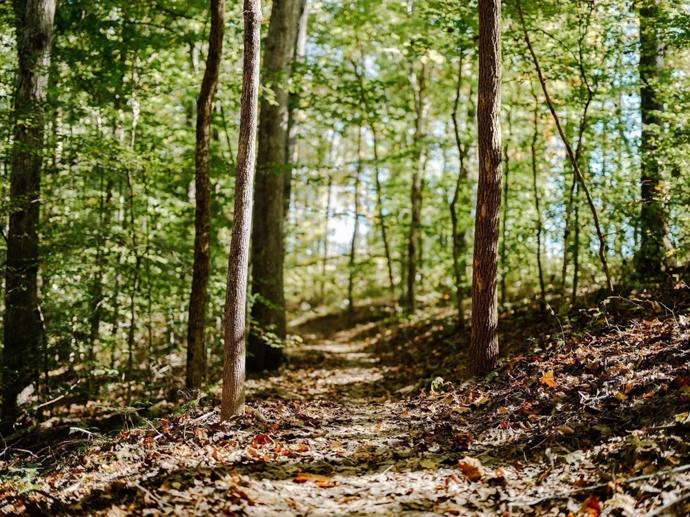 0 Pinewood Road Franklin, TN 37064
