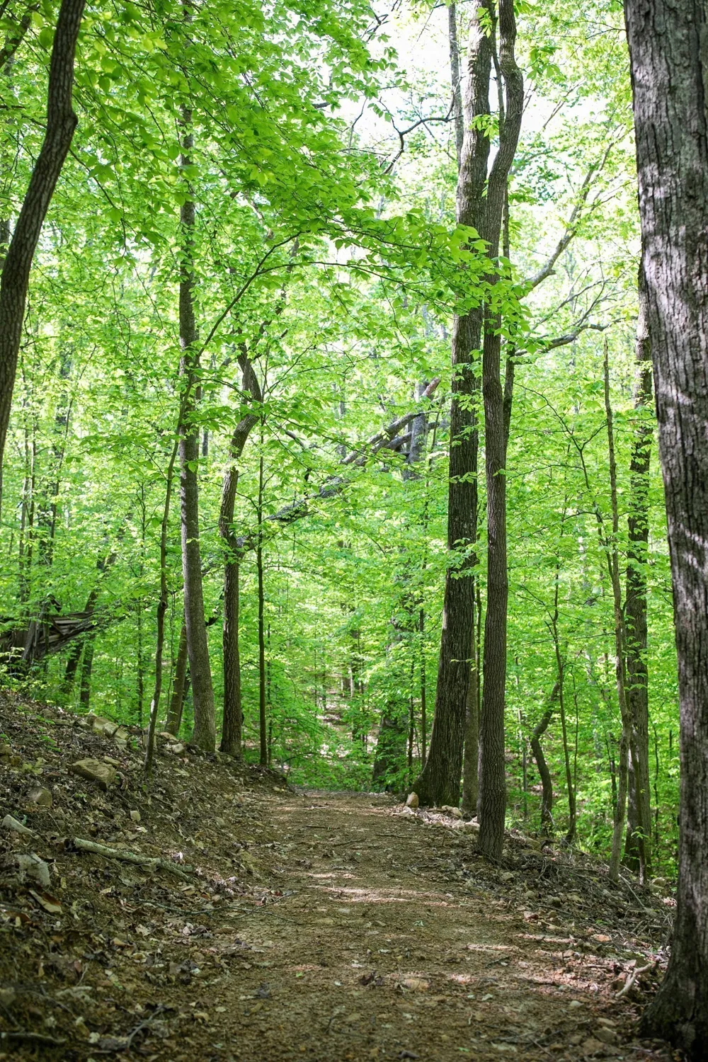 0 Pinewood Road Franklin, TN 37064