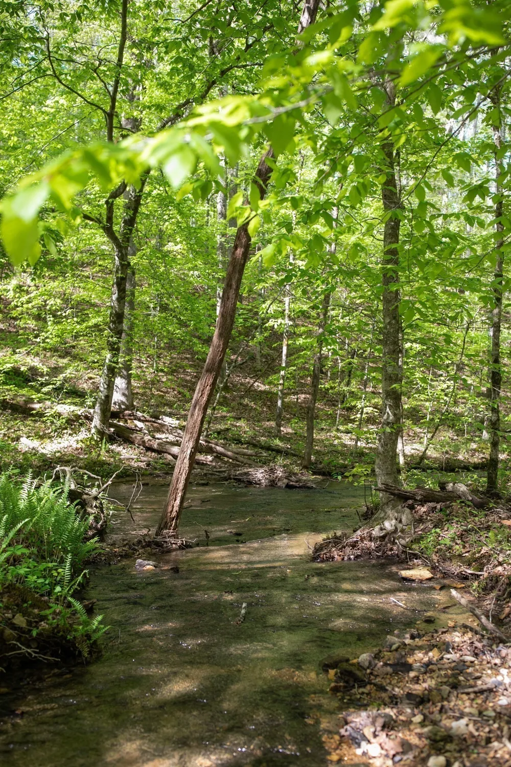 0 Pinewood Road Franklin, TN 37064