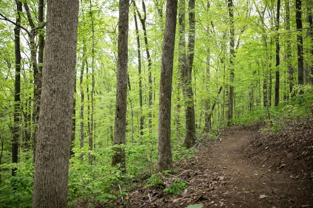 0 Pinewood Road Franklin, TN 37064