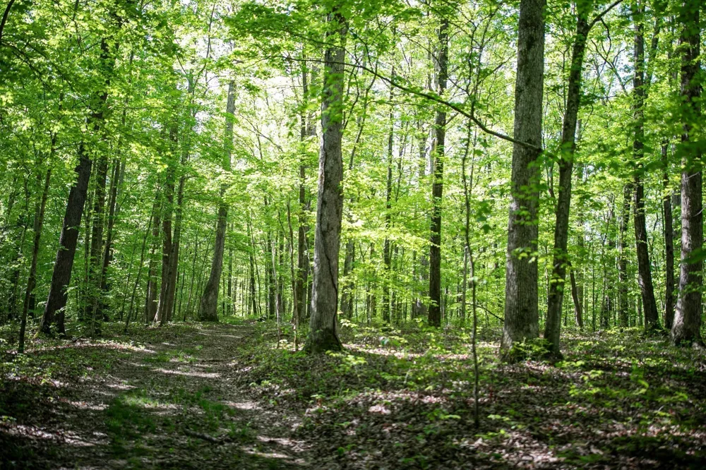 0 Pinewood Road Franklin, TN 37064
