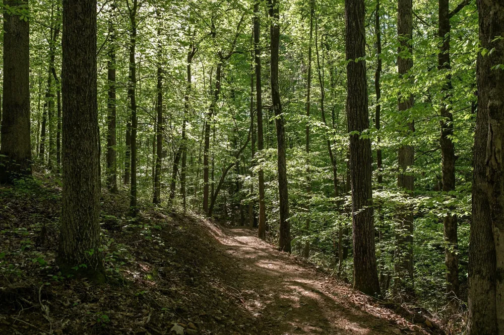 0 Pinewood Road Franklin, TN 37064