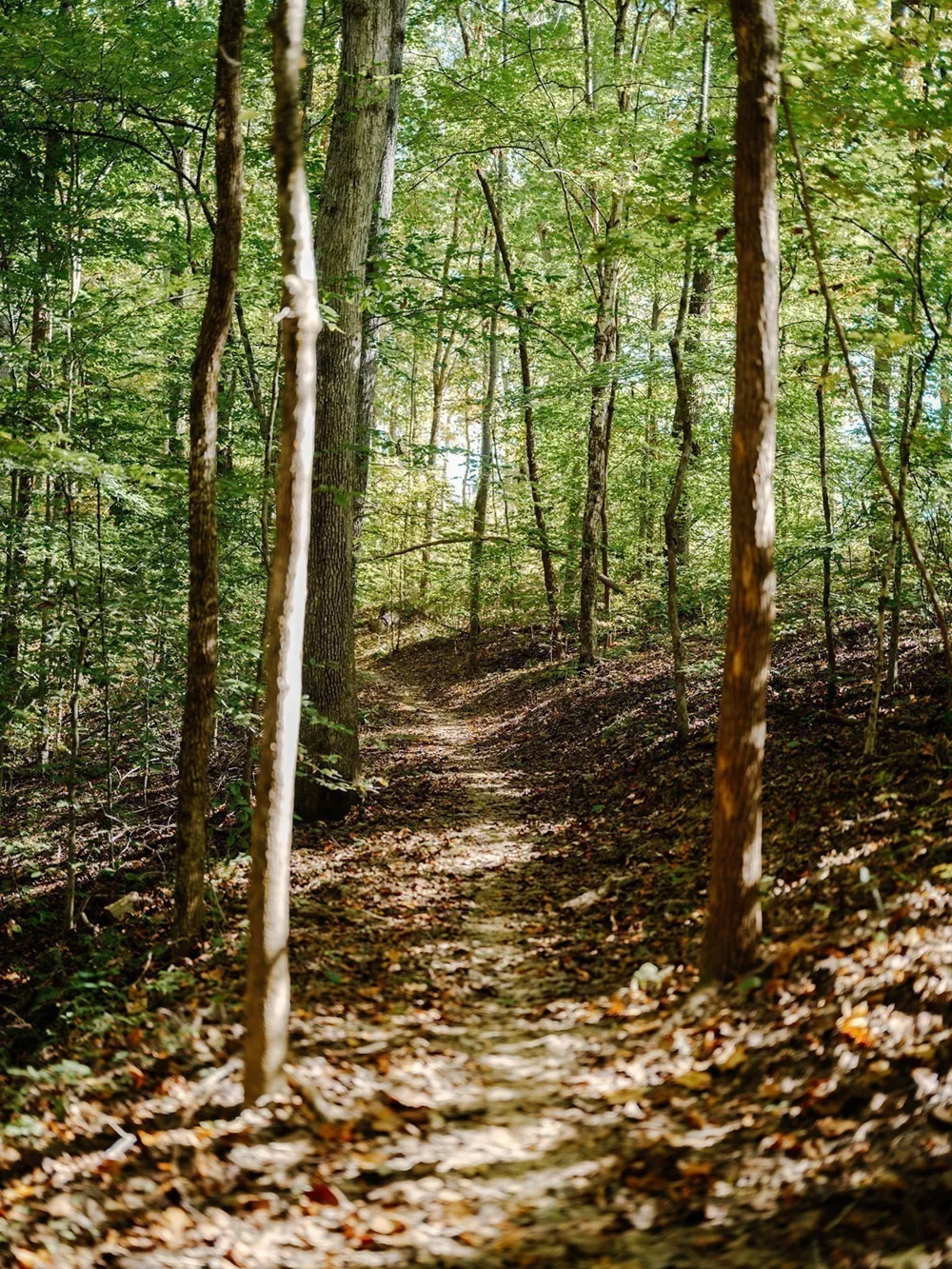 0 Pinewood Road Franklin, TN 37064