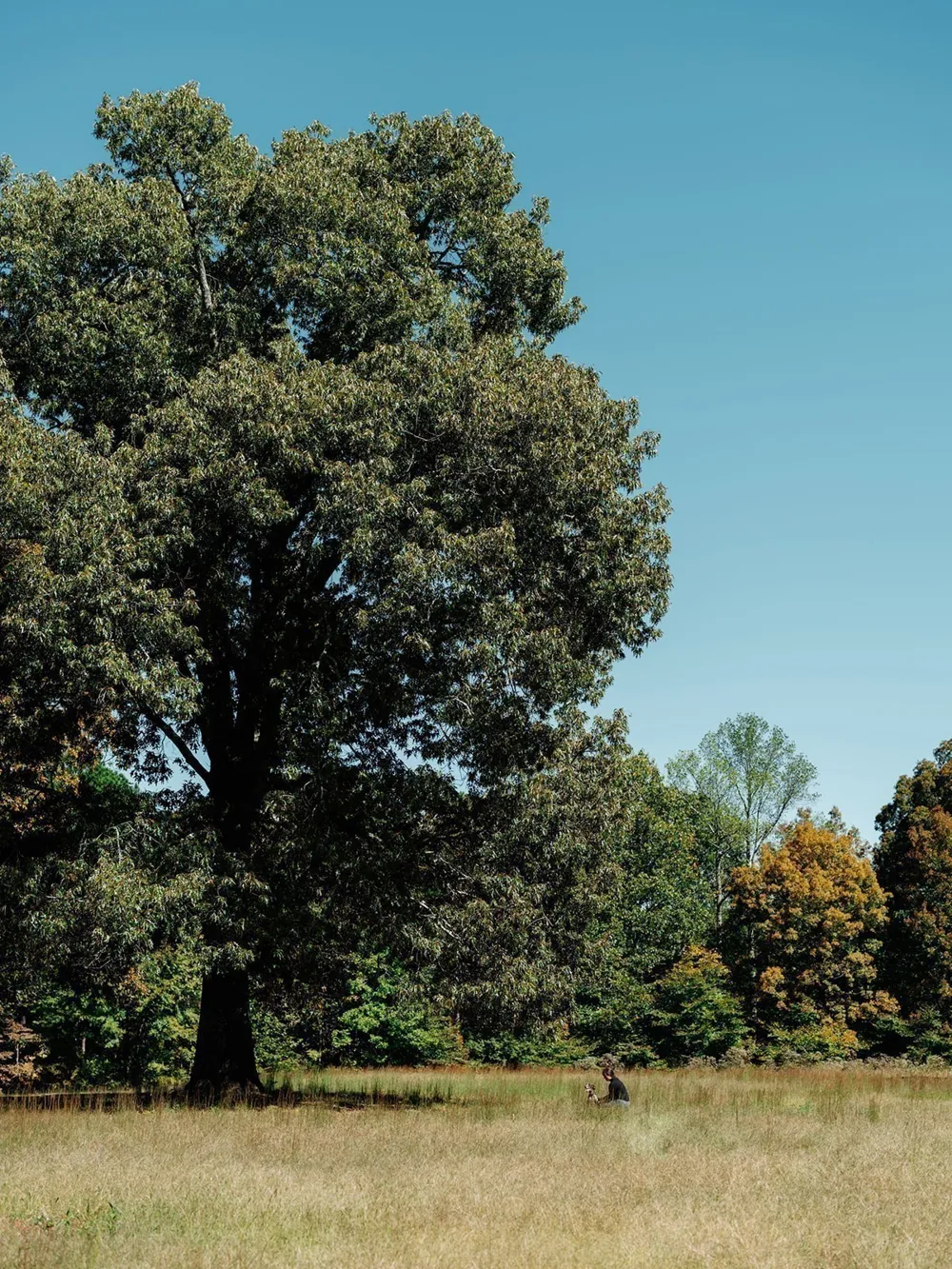 0 Pinewood Road Franklin, TN 37064