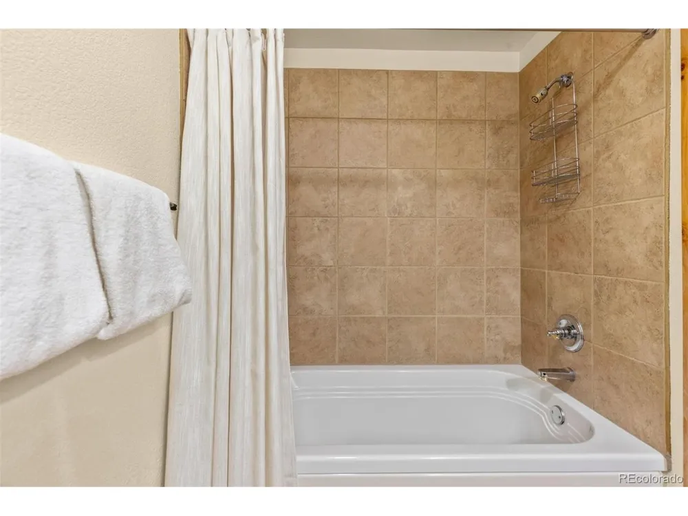 45 Trappers Crossing Trail #8754 Dillon, CO 80435