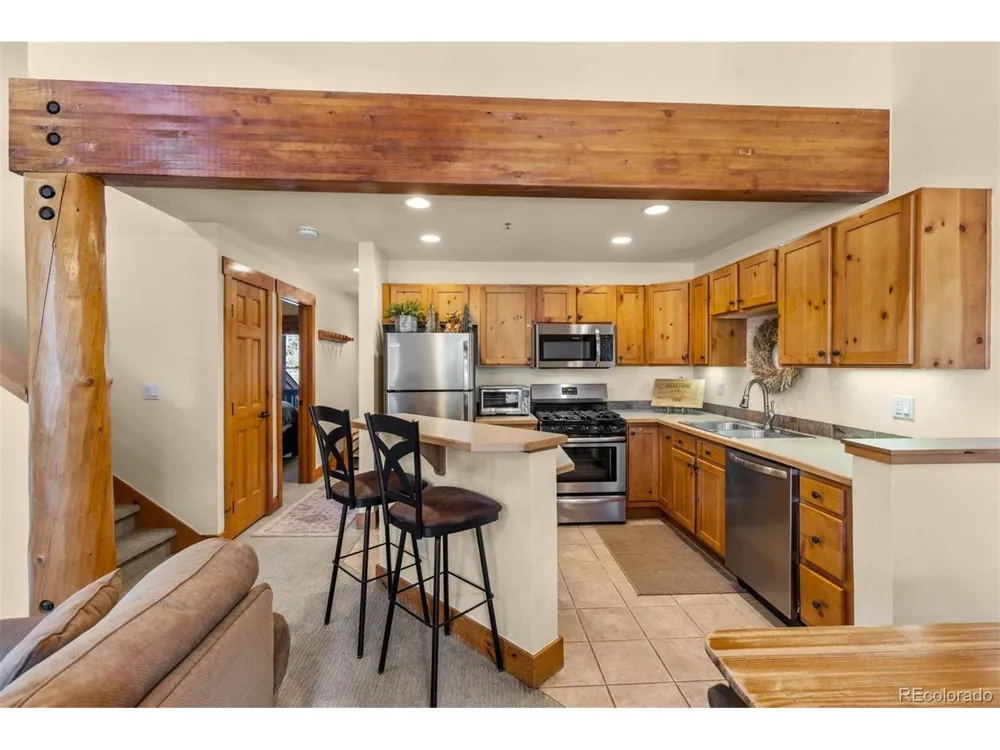 45 Trappers Crossing Trail #8754 Dillon, CO 80435
