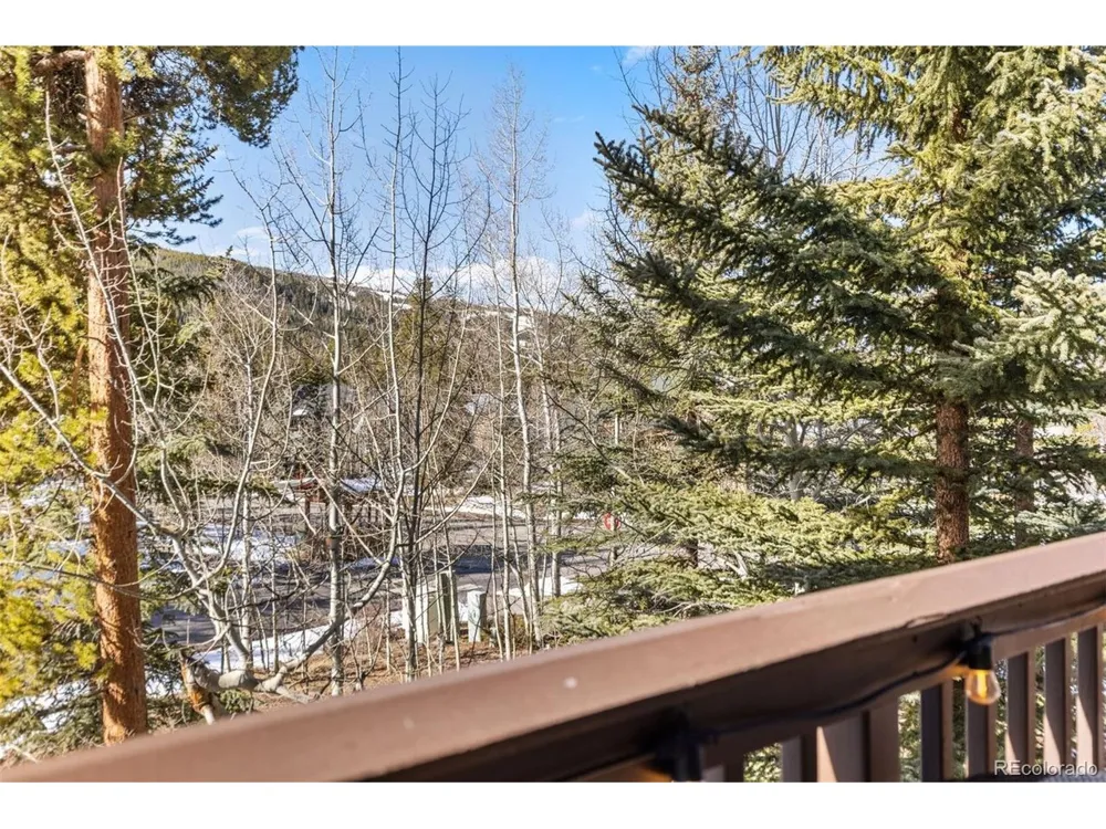 45 Trappers Crossing Trail #8754 Dillon, CO 80435