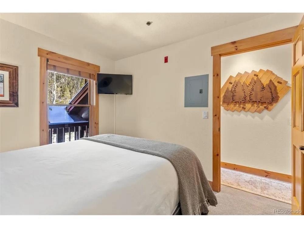 45 Trappers Crossing Trail #8754 Dillon, CO 80435
